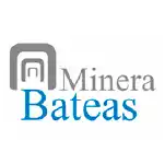 cliente minera bateas