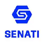 cliente senati