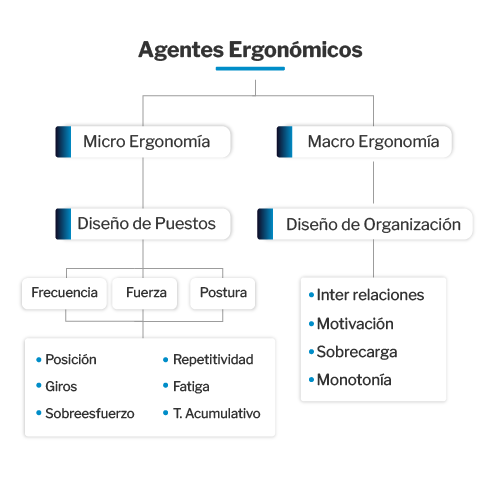 agentes ergonomicos