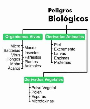 TRANSMITE TRANSMITE